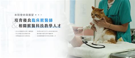 圍管現象|國立臺灣大學獸醫專業學院動物疾病診斷中心